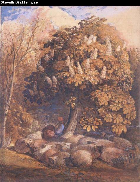 Samuel Palmer Pastoral with a Horse Chestnut Tree